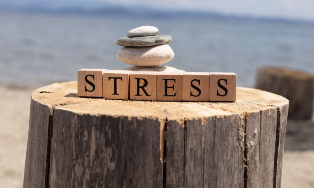 The word stress in tiles which describes a situation if business owners chase every opportunity.