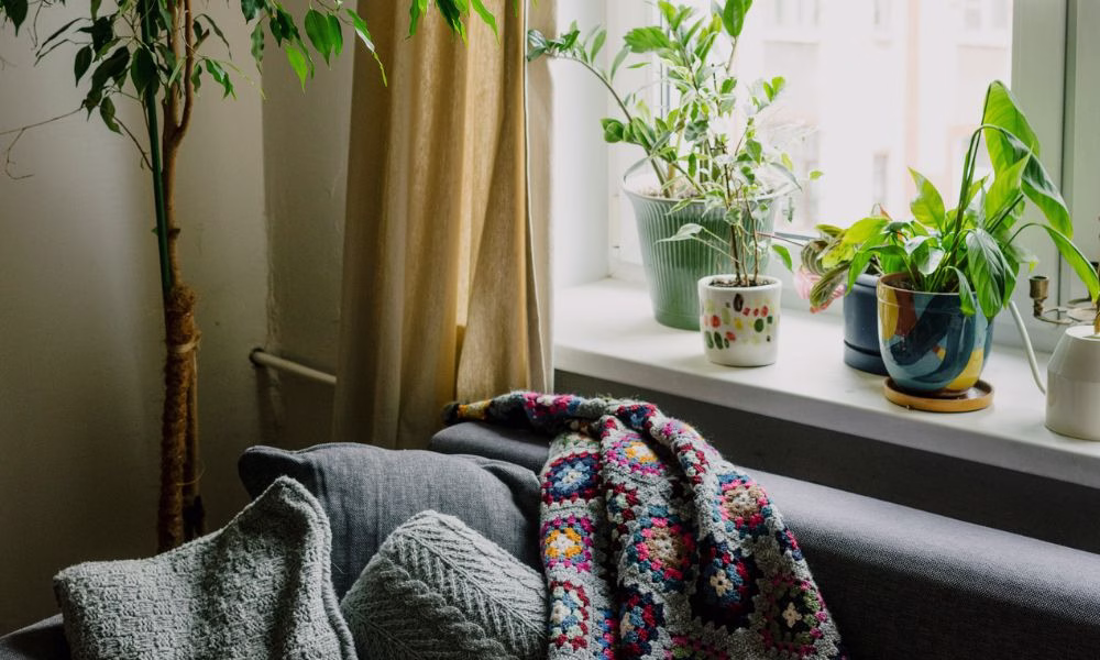 A cozy corner at home with pillows, blankets, and plants.