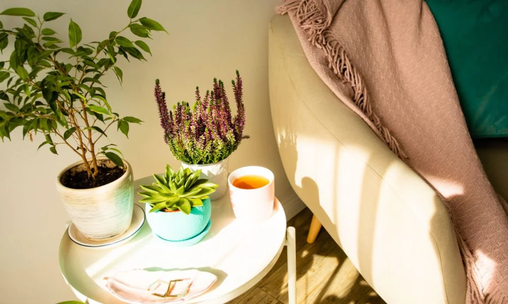 Sunlit cozy corner with a small white side table holding potted plants and a cup of tea beside a soft armchair with a pink throw blanket, creating a calm and quiet morning atmosphere.