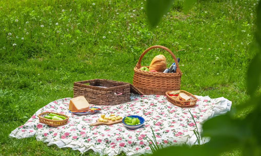 simple picnic for family's slow travel