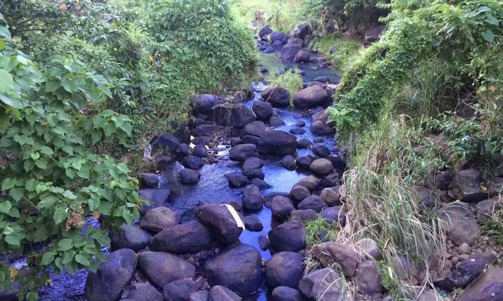 River flowing beneath the wooden bridge seating area at Coffee By The Way in Davao City