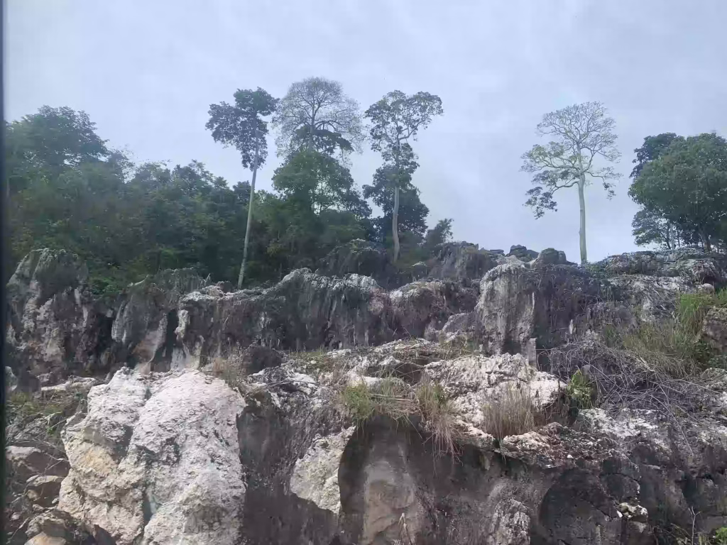Rocky roadside terrain along the Davao to Koronadal route, featuring scattered stones, dry ground, and sparse vegetation with trees in the background.