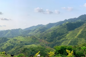 Scenic view of lush green mountains in Davao to Koronadal, highlighting natural landscapes and travel routes through rolling hills.