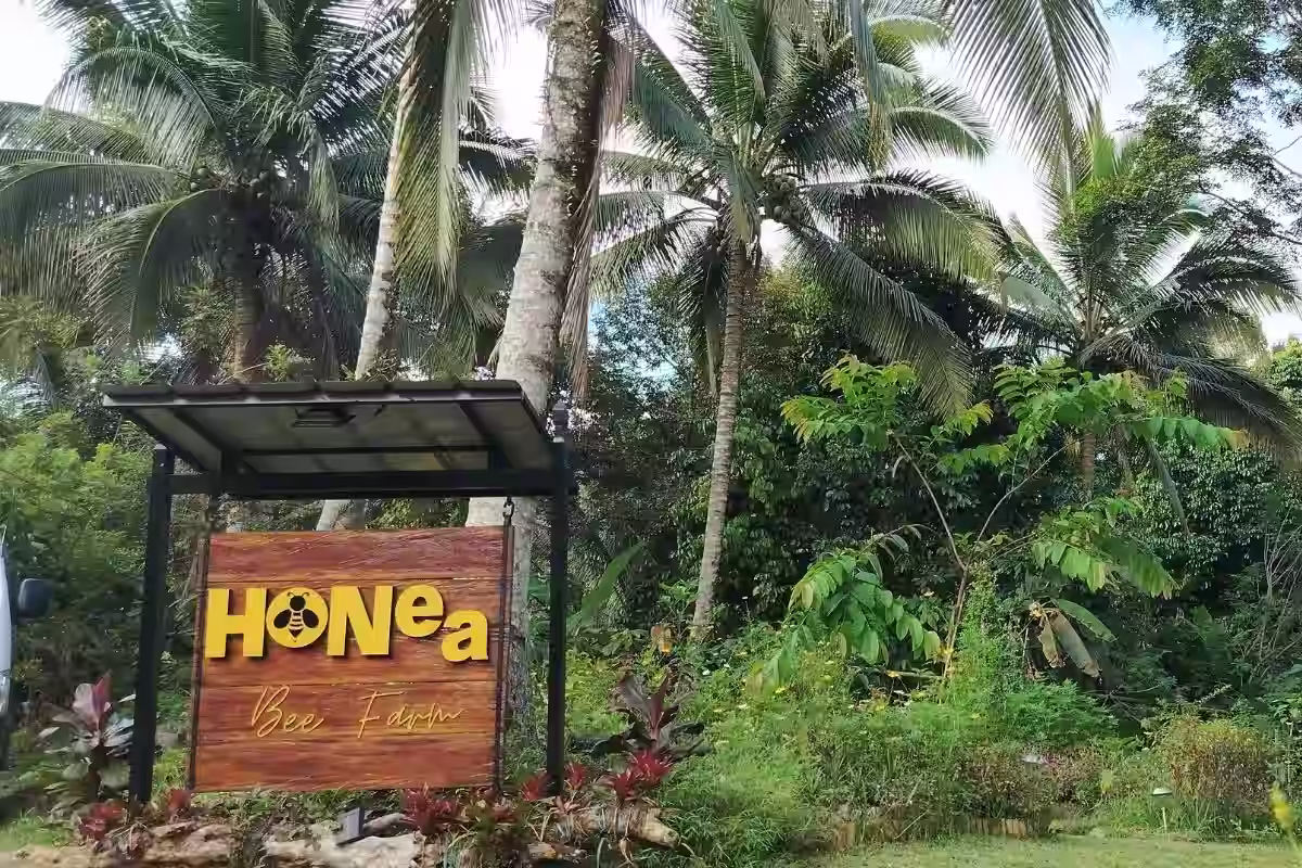 Entrance of Honea Bee Farm in Catigan, Toril, Davao City