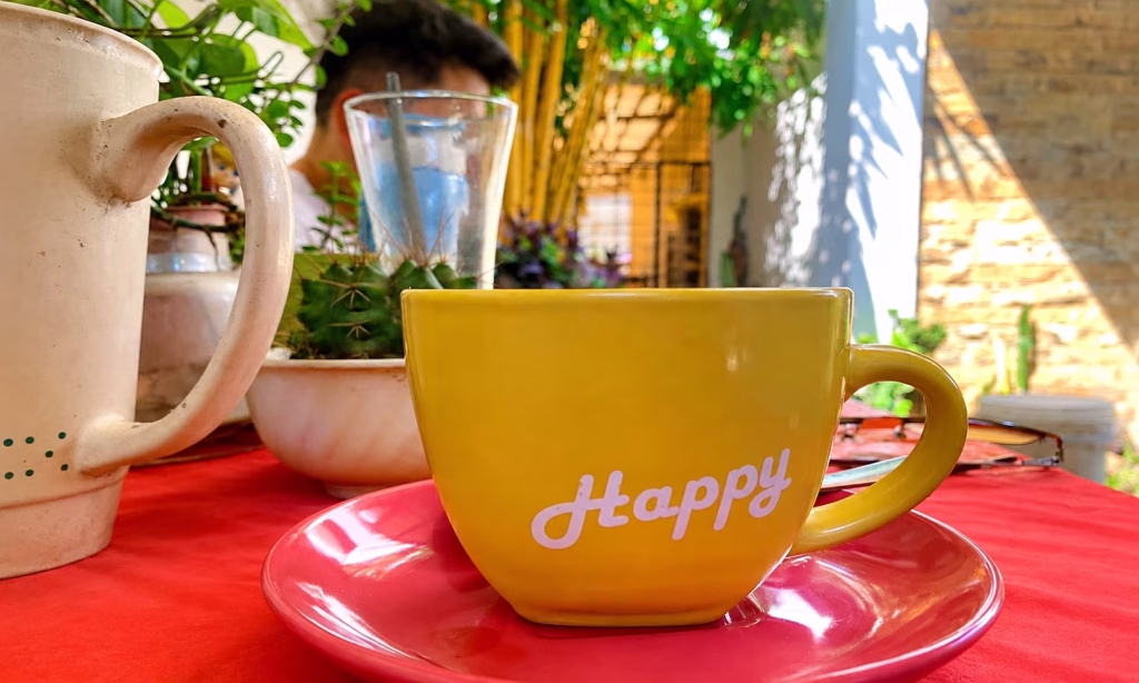 Coffee in the morning with bamboo trees