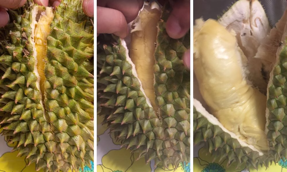 How to open a durian fruit