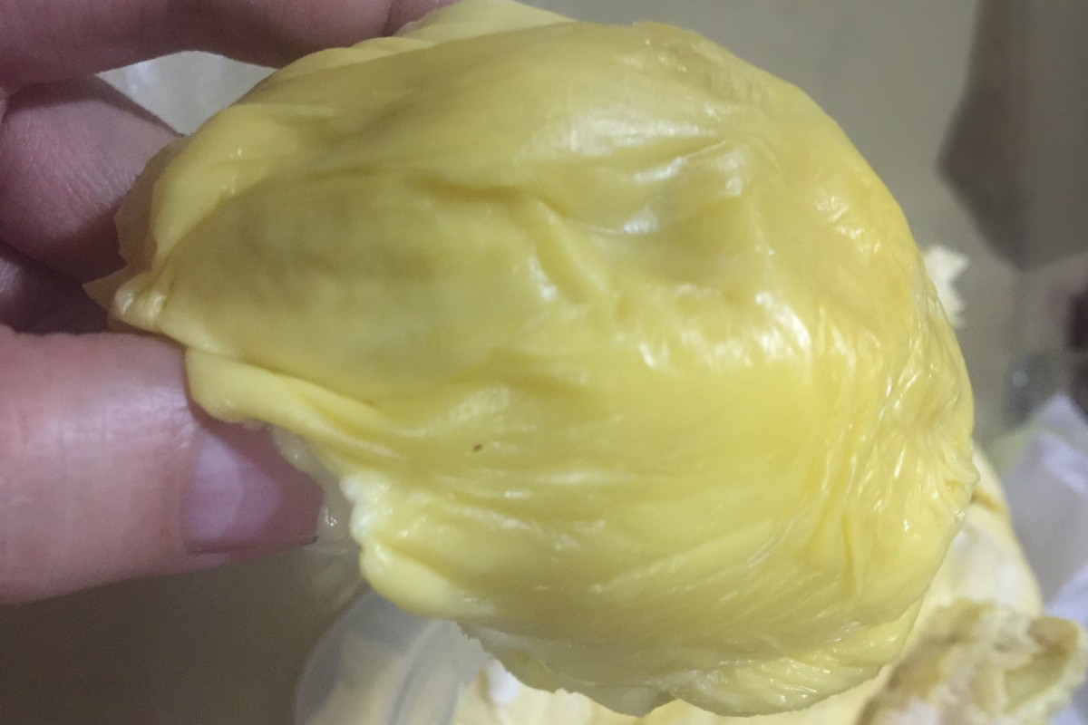 Davao City's durian looks creamy and delicious