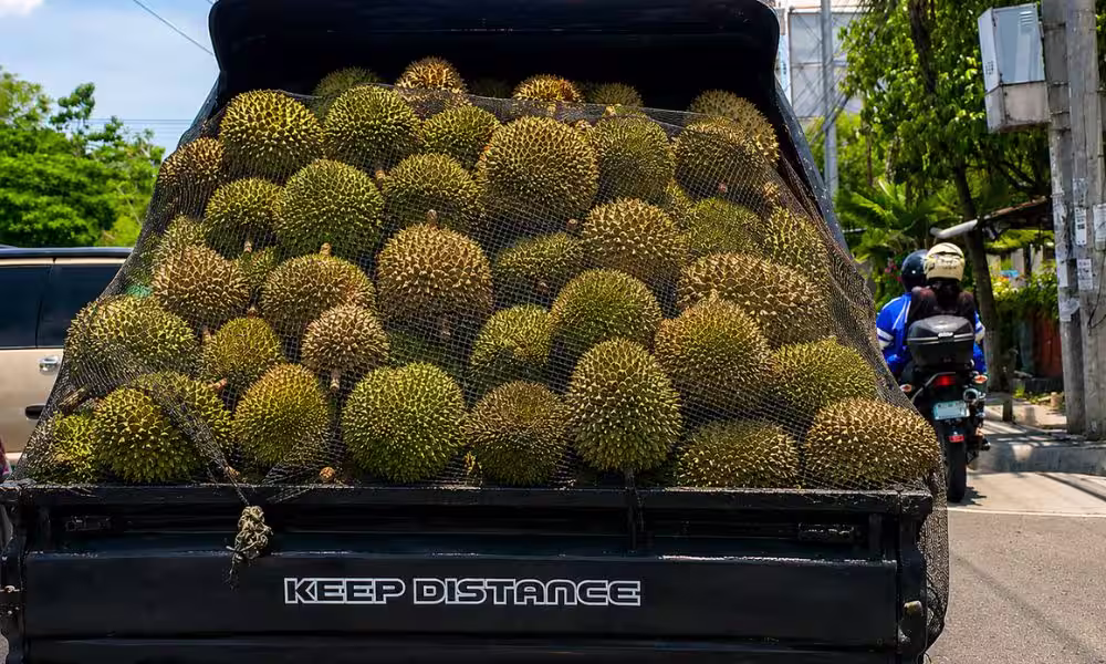 A truckload of durian in Davao City