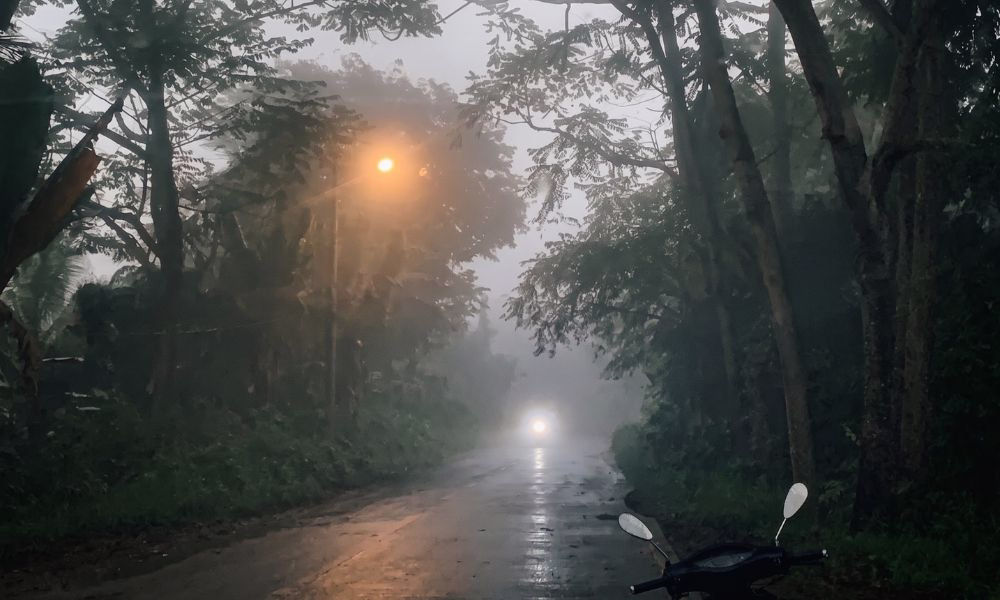 A road paved with trees in fog in Davao City.