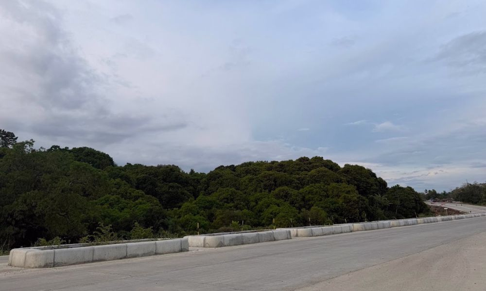 Lush green trees along a wide road in Davao City.