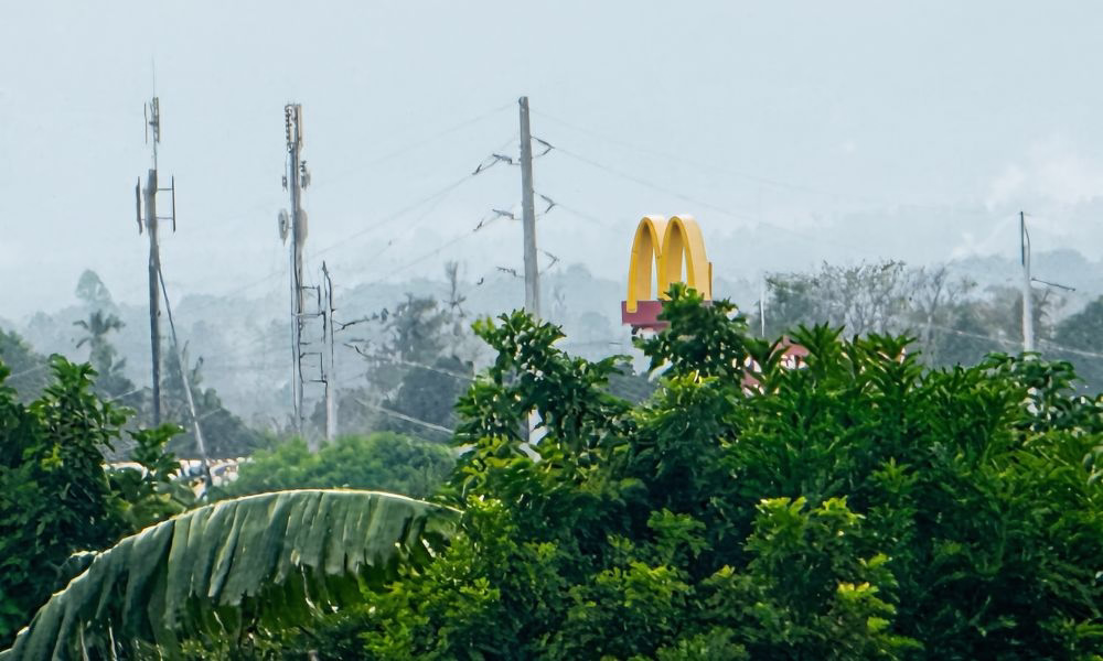 A signage of a popular fast food chain looming above the lush trees in Davao City.